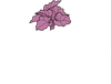 Reben B.V.